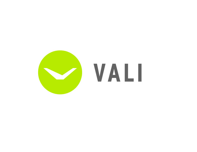 vali homes LLC company logo