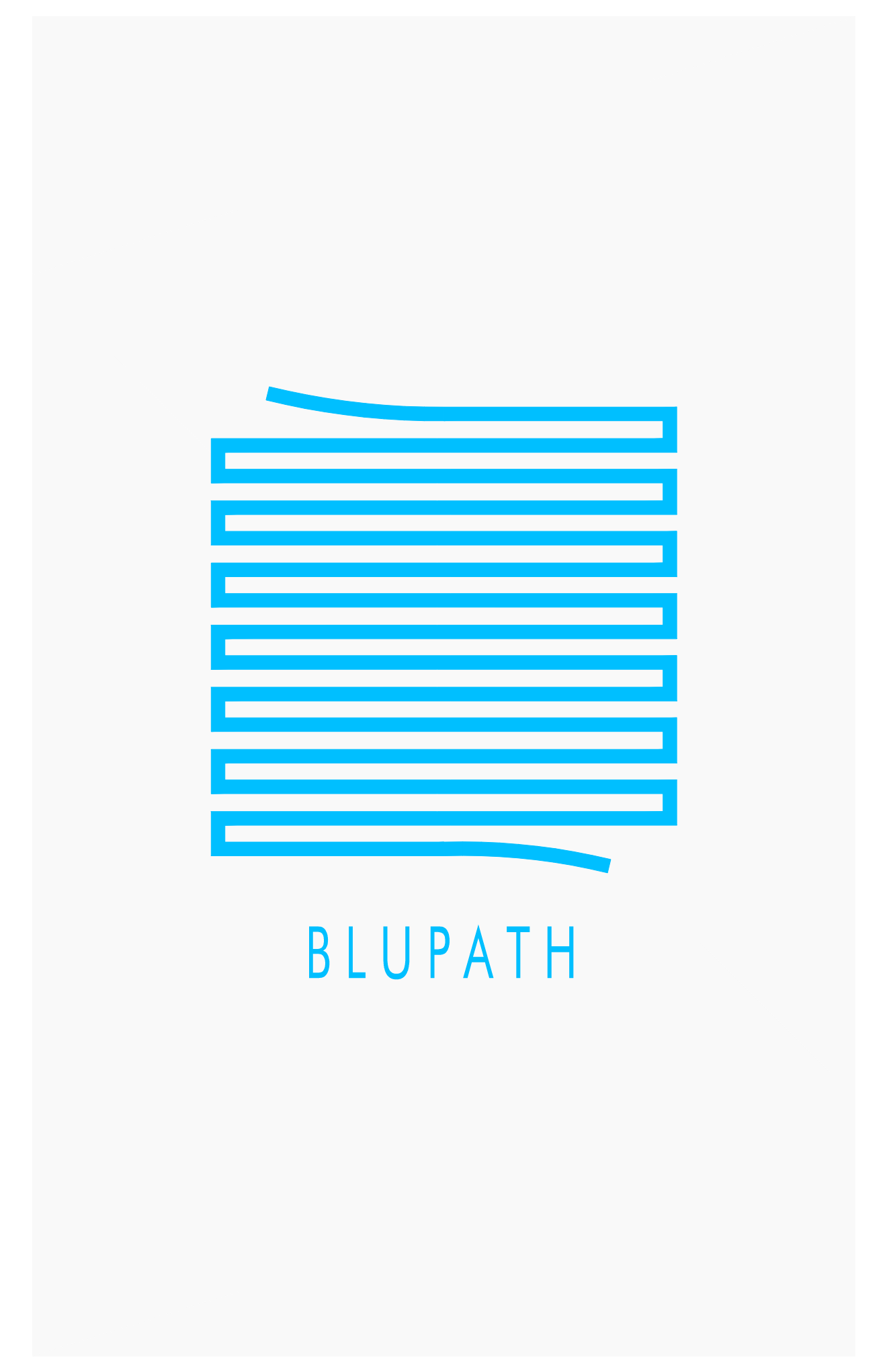 BluPath Design Inc. company logo