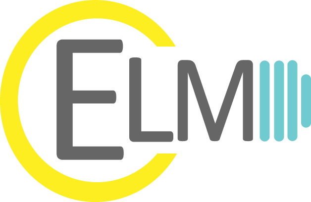 ELM Consulting, LLC company logo