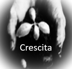 Crescita Management Southwest LLC company logo