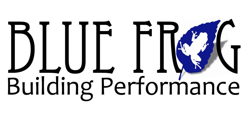 Blue Frog Building Performance LLC company logo