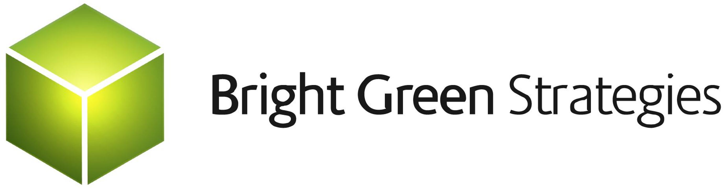 Birght Green Strategies, Inc. company logo